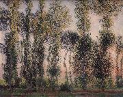 Claude Monet Poplars at Giverny oil painting on canvas